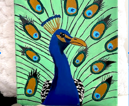 Peacock